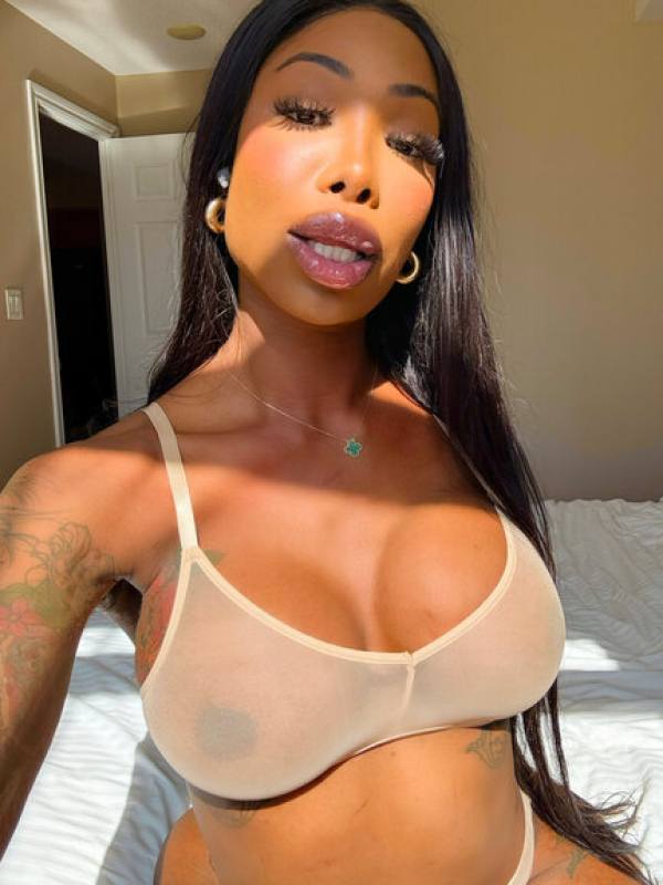 Sinfuldeed Leaked Onlyfans Porn Videos Details 594 Sinfuldeed Leaked Onlyfans Porn Videos Details 594